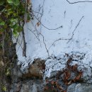 대산마을 이미지