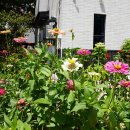 채송화어린이공원 이미지