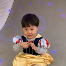 보정지구대 이미지