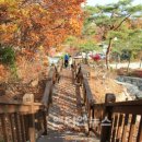 강화군 석모도자연휴양림 이미지