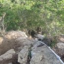 황장산민박 이미지