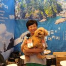 주식회사 사이시옷 이미지