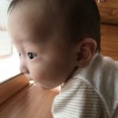 (주)두베