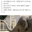 65년 전 사라진 '인간전시'…'동물전시'는 괜찮나 이미지