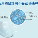 신사콘택트렌즈 이미지