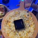 질러스타노래타운 이미지