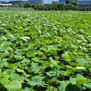 봉정농장 이미지