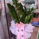 정우정육점 - 구로구 개봉로17길 34 | 정우정육점