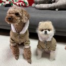 엠케이그루밍샵 이미지