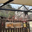 삐삐롱스타킹 이미지