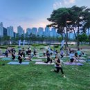 (상반기)발레핏 이미지