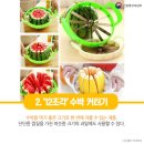 과일을부탁해 이미지