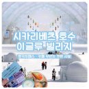 0344 | [일본] 홋카이도 오비히로 겨울 근교 여행 코스｜시카리베츠 호수 이글루 빌리지·토카치패스·카페 무반치