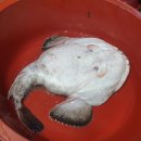 대복막썰이