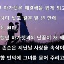 메기의 추억 네이버블로그