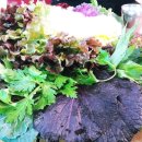 산골짜기쌈밥마을 이미지