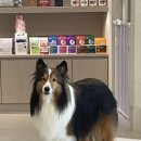 해솔동물병원 이미지