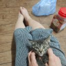 송악 동물병원 이미지