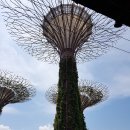 싱가폴 여행 머라이언 공원 1- 다음 2 이미지