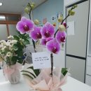 덕산그린피아상가 | 창원꽃바구니 선물은 그린피아꽃집에서 준비했어요