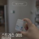 고양이 스트레스 예방 영양제 질켄 플러스 급여 후기