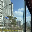 정독도서관 | 정독도서관 벚꽃 실시간 후기(250411 낮,밤)