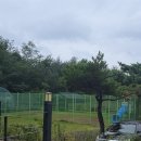 한티별빛아래관광농원야영장 | 경북칠곡 풍경이 멋진 캠핑장 자리추천 시설설명 한티별빛아래관광농원 야영장