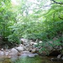 07/27 (일) 컨디션 좋은 엄지 척 명품계곡~~~양평 중원산 중원계곡 이미지