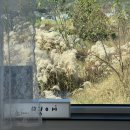 스테이 명애 이미지