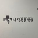 프란다스동물병원