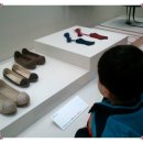 성신여자대학교 자연사박물관 이미지