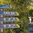 월성이씨 열행비 네이버블로그
