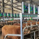 스마트전자 이미지