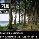 221106 돌아갈 기회 히브리서11장13-16절 이미지