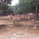 근현농장 이미지