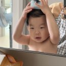 모모별상점 이미지