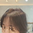 쑤니비어 이미지