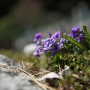 가현어린이공원 이미지