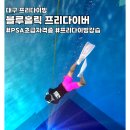 대구 프리다이빙 강습 블루홀릭프리다이버 초등아이와 함께 PSA레벨1 후기