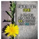 오늘의 날씨 (10월 3일 목요일) 707기 입영 4일차 이미지