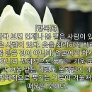 행복꽃