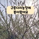 구름다리농장 이미지