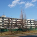 시영아파트 이미지