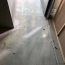 리치마트 이미지