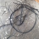 나라카센타 이미지