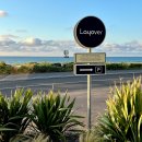 소락스위스 | 2025 제주 감성 디저트 투어🍰 운영 중인 인기 4곳 + 근처 힐링 스팟 추천