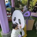 더세컨드하우스 | [용인] 에버랜드 판다세컨드하우스 방문후기_루이바오&후이바오 새집