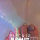 플로움네일