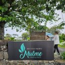 제주 밭담숲 치유농장 | 제주 힐링 여행 치유 농장 물뫼 힐링팜