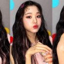 쥬쥬헤어 인사이트